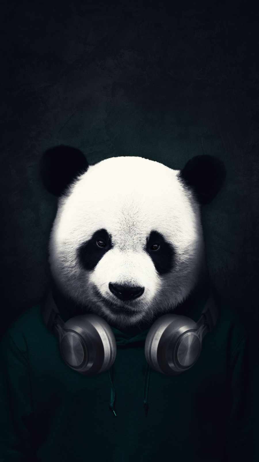 Iphone Panda Wallpapers