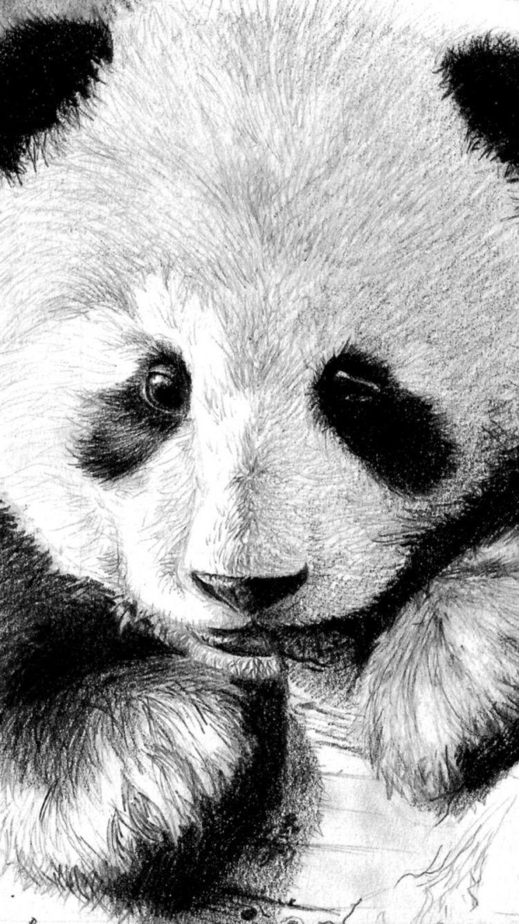 Iphone Panda Wallpapers