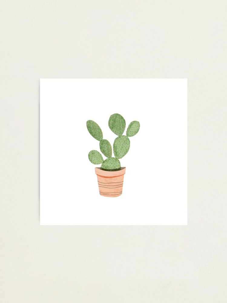 Iphone Pastel Cactus Wallpapers