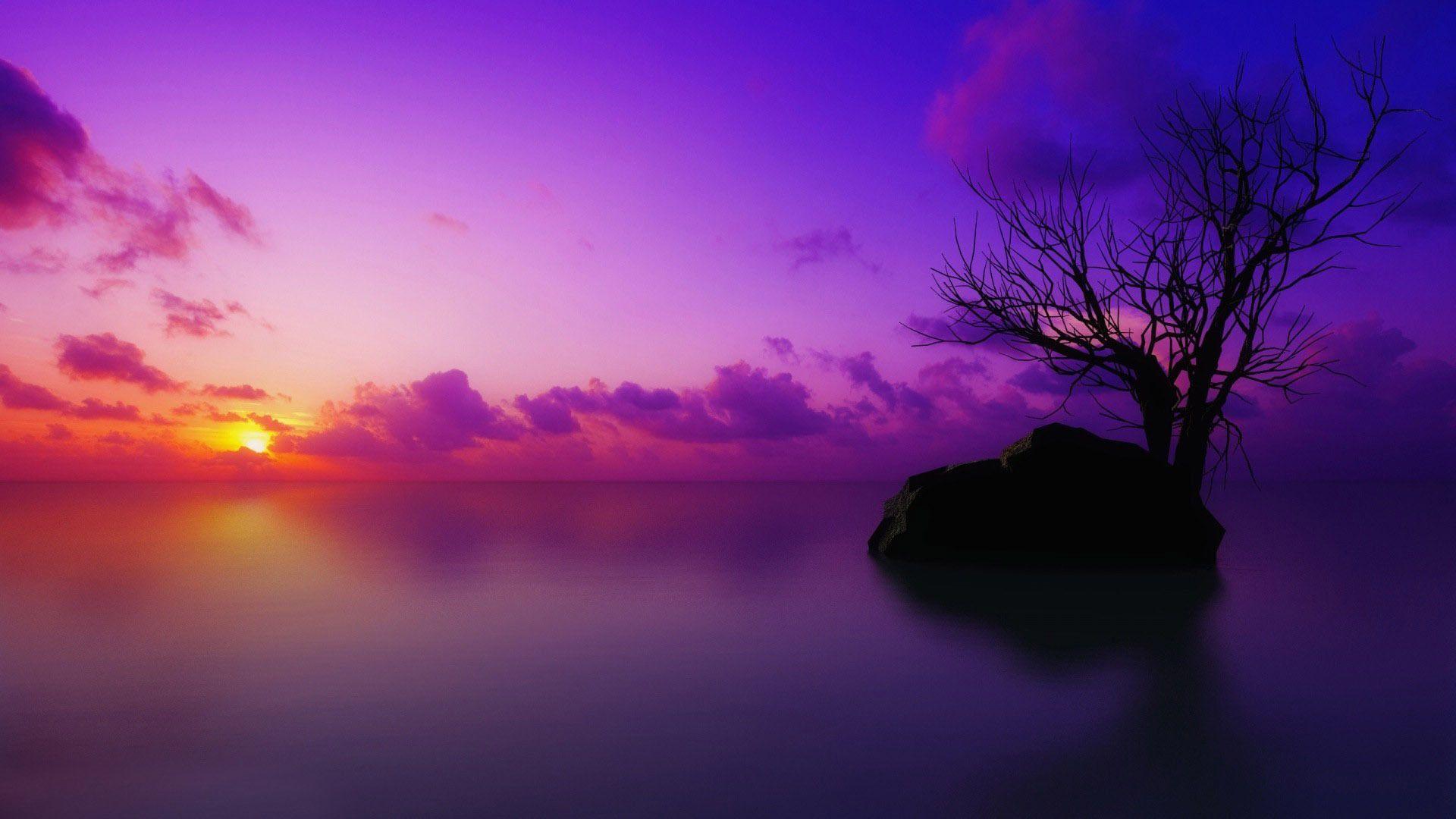 Iphone Purple Sunset Wallpapers