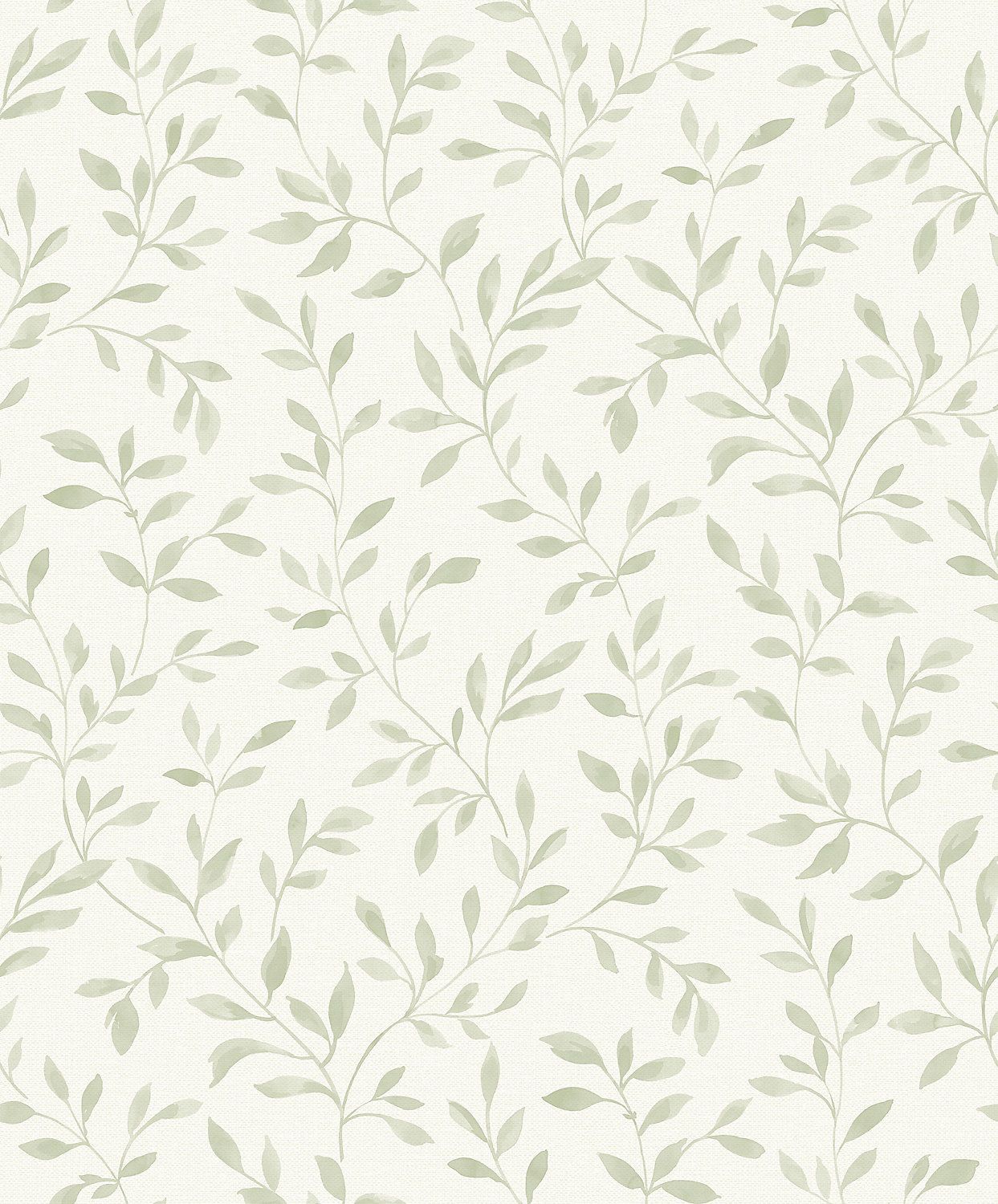 Iphone Sage Green Wallpapers