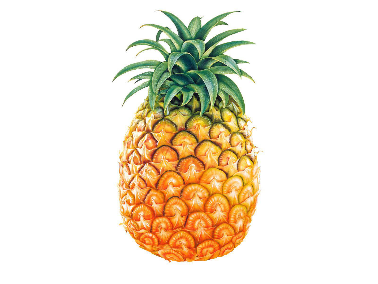 Iphone Pineapple Wallpapers