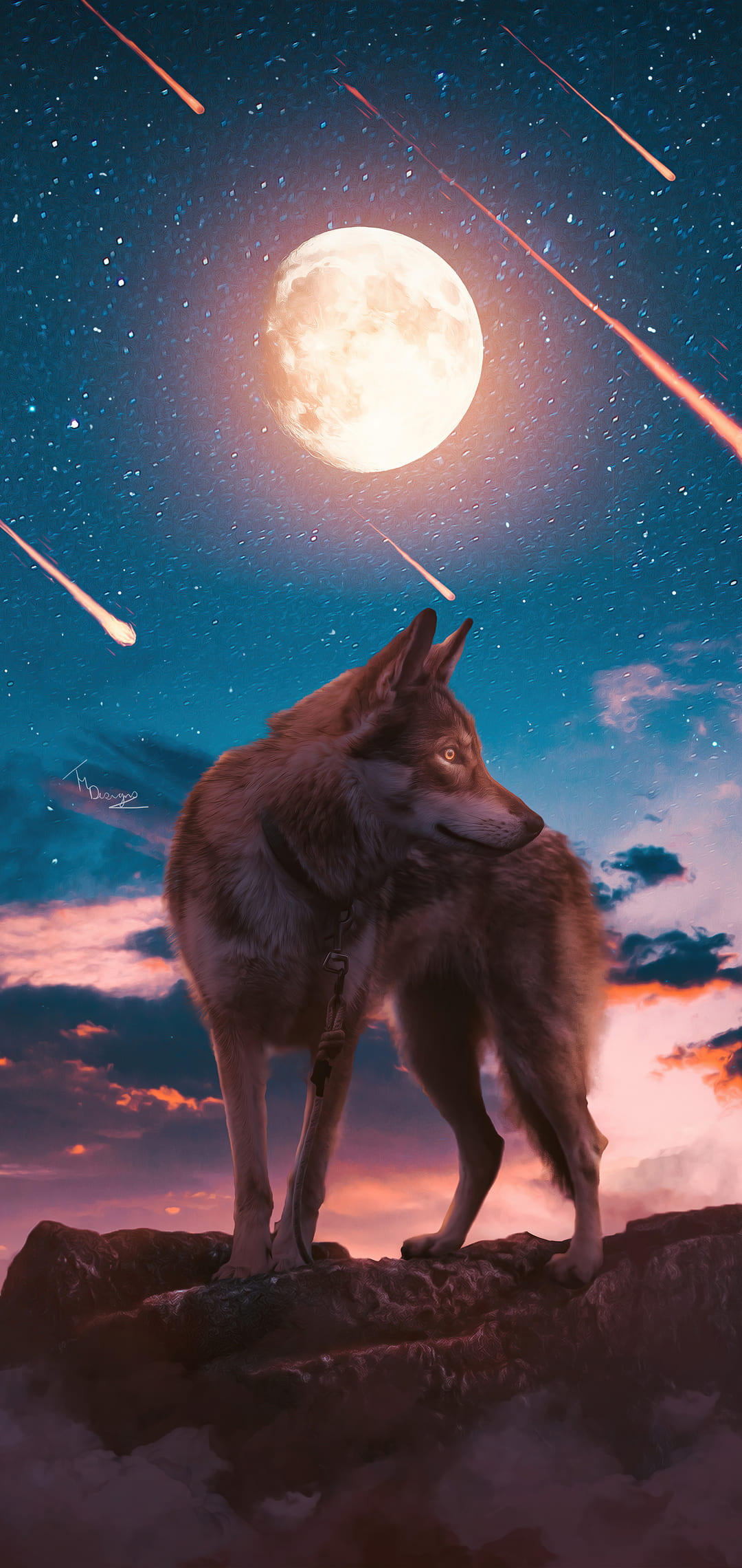 Iphone Wolf Wallpapers