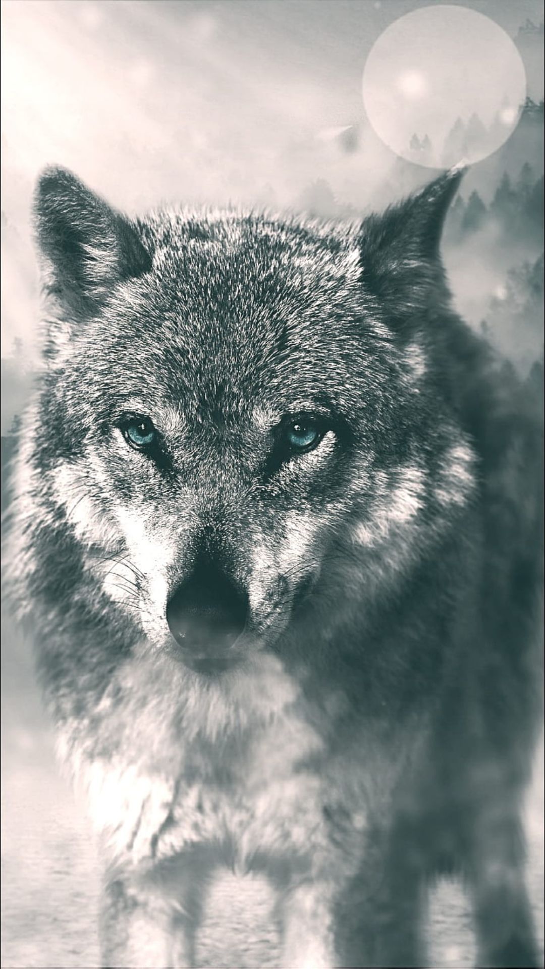 Iphone Wolf Wallpapers