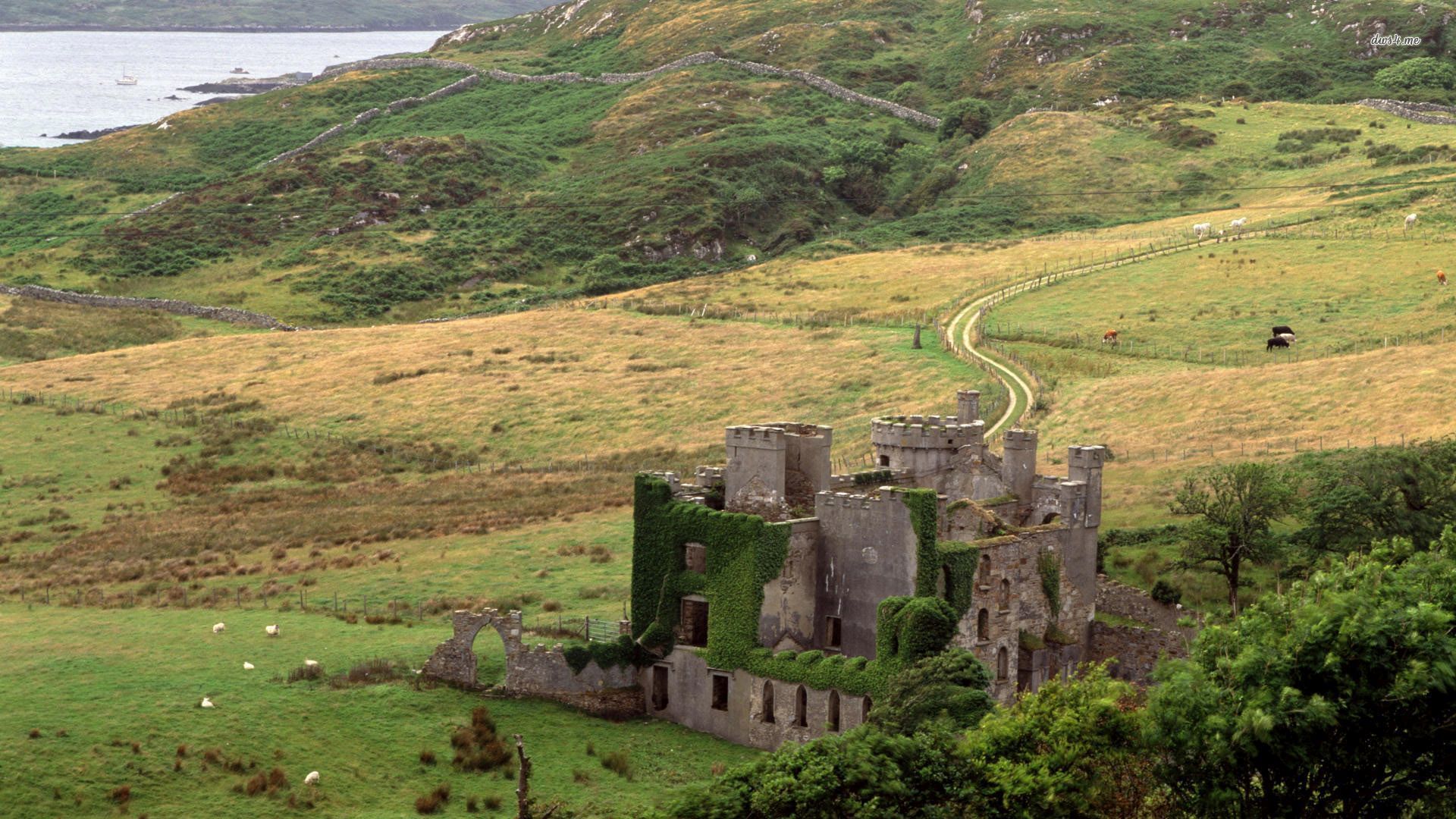 Irish Castles Wallpapers