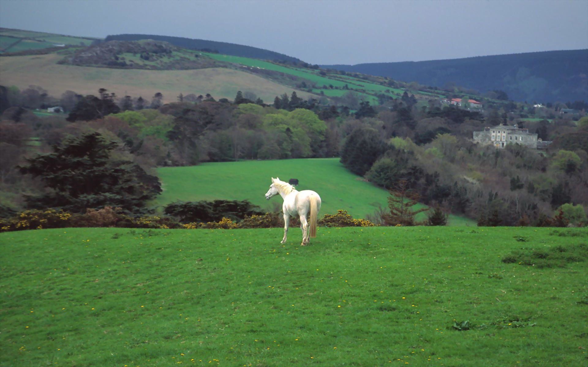 Irish Landscapes Wallpapers