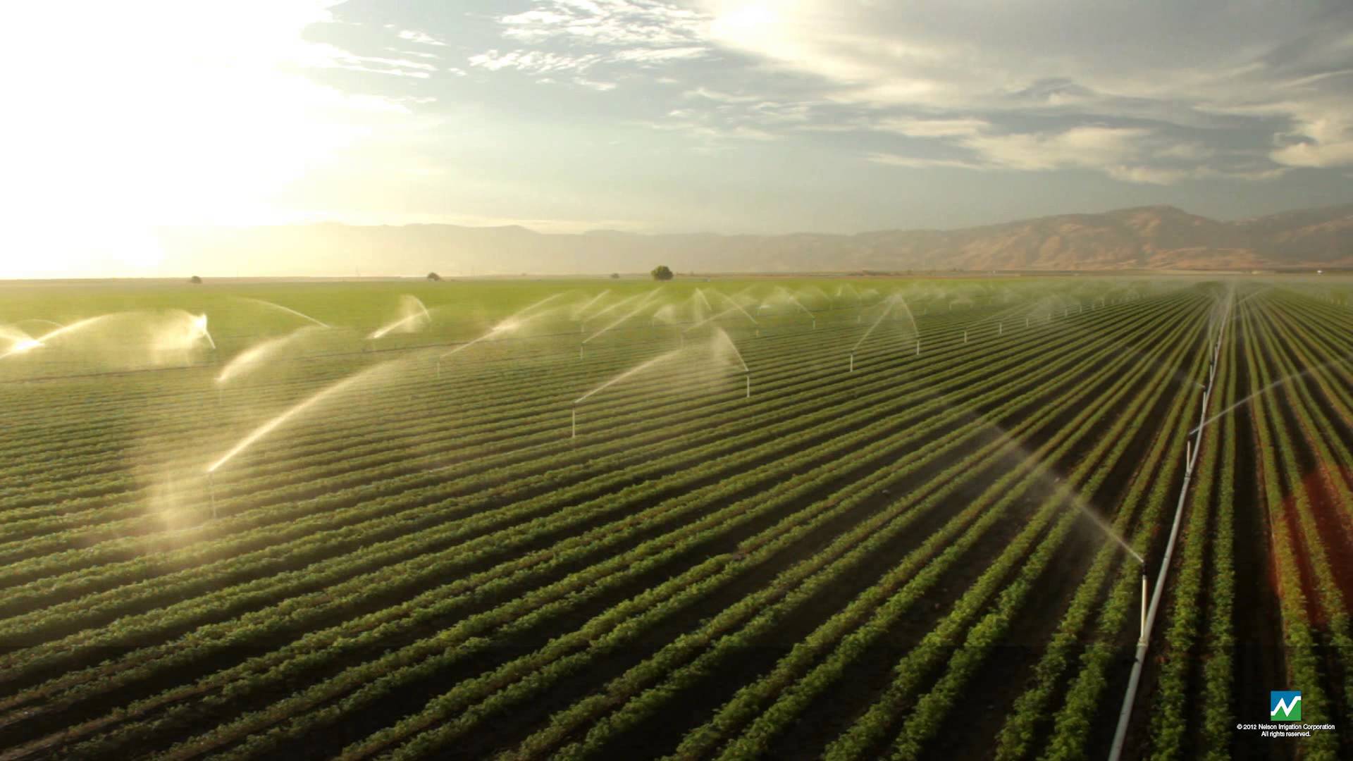 Irrigation Picture Wallpapers