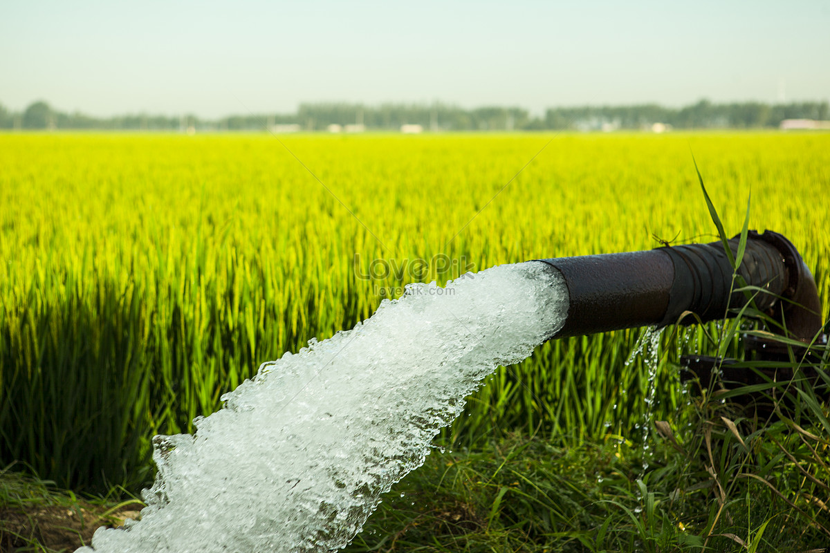 Irrigation Picture Wallpapers