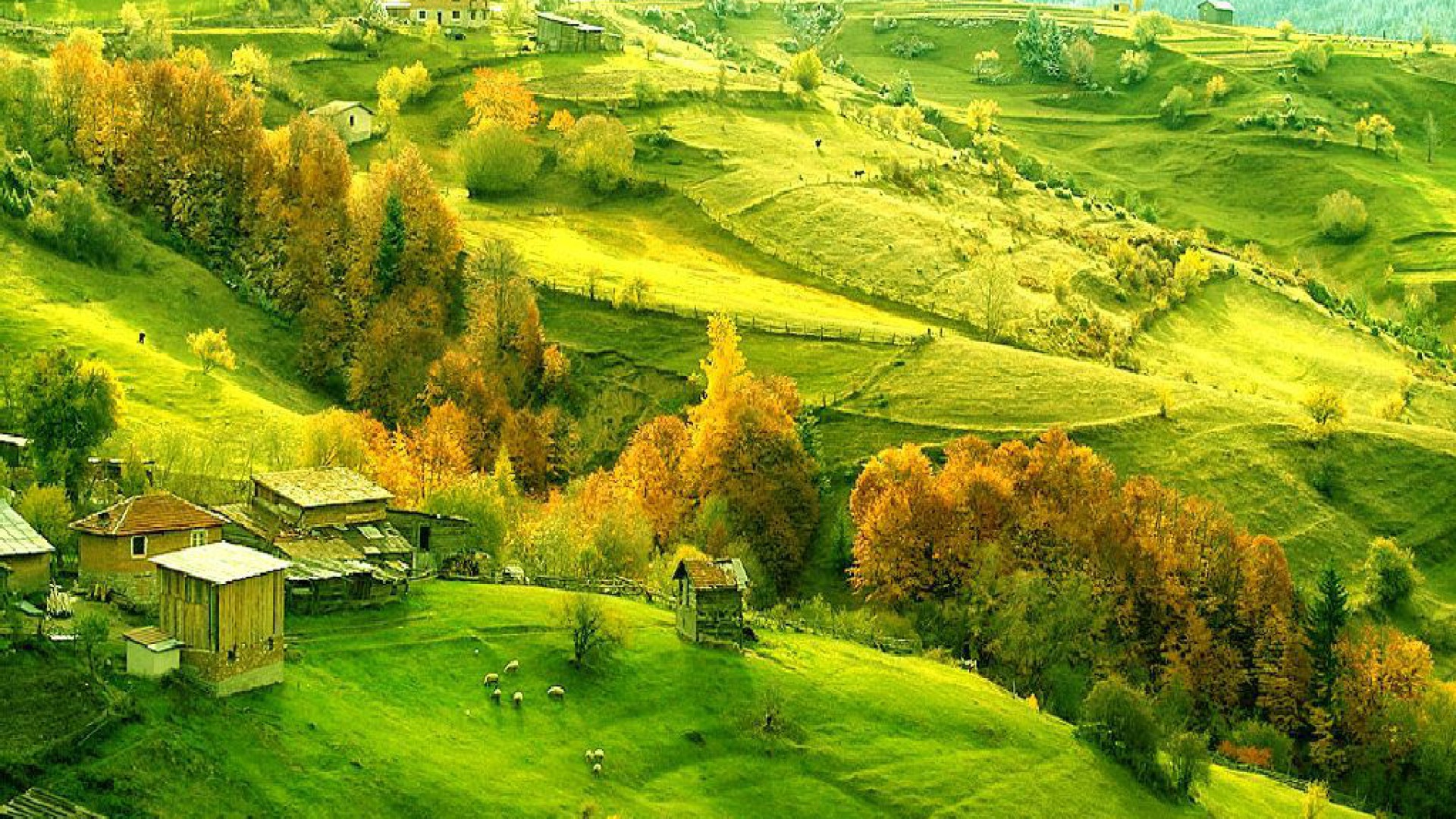 Italian Countryside Wallpapers