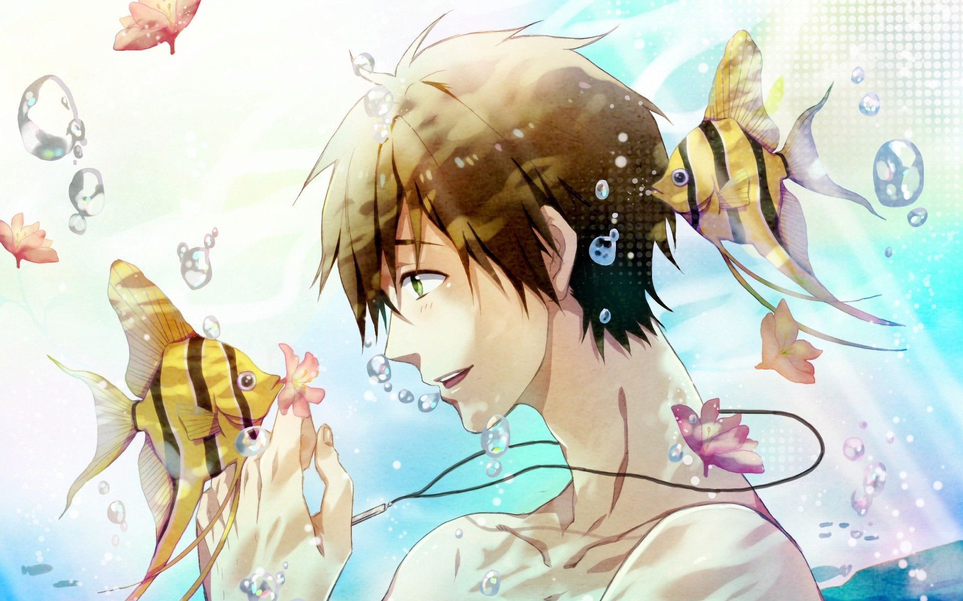 Iwatobi Swim Club Wallpapers