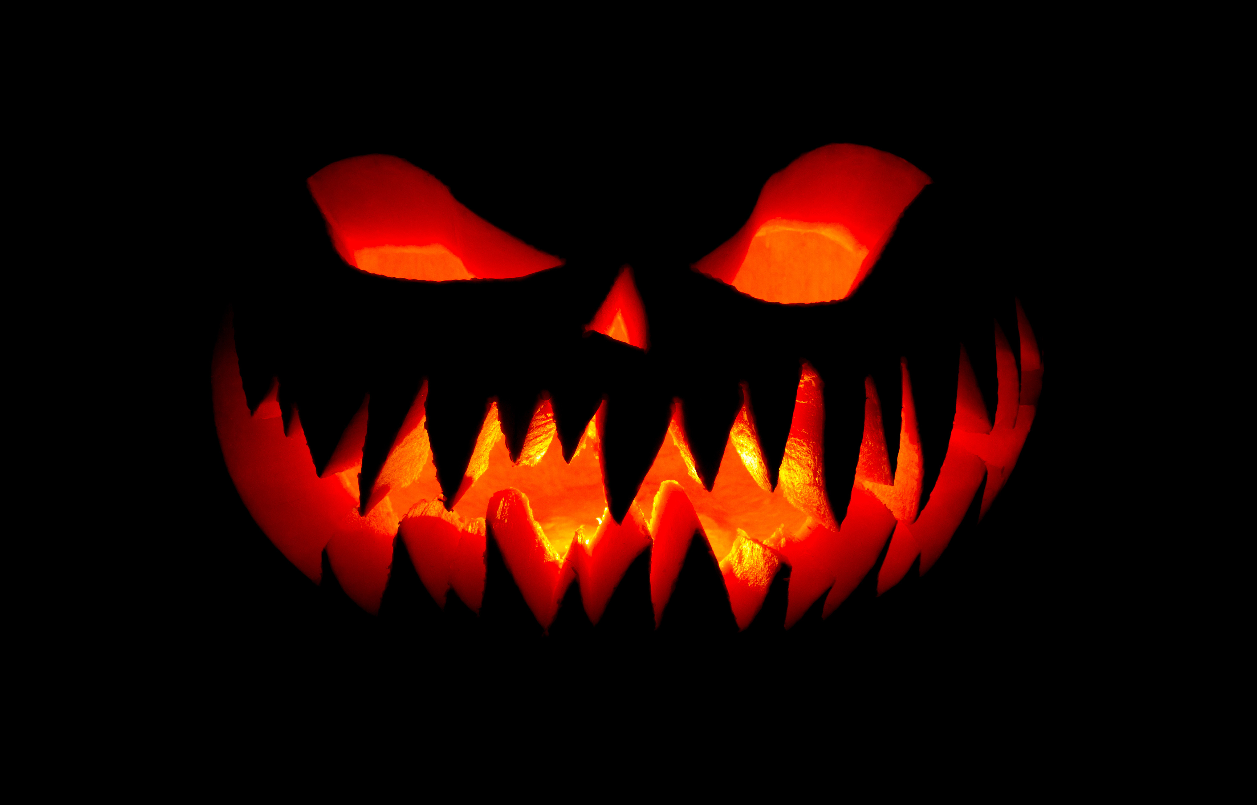 Jackolantern Wallpapers