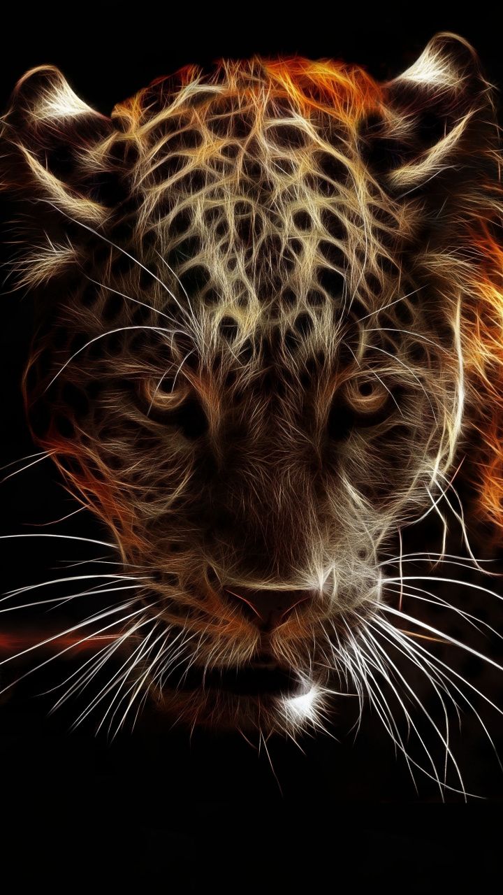 Jaguar Animal Wallpapers