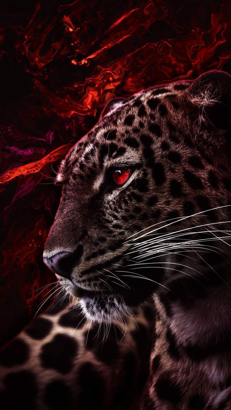 Jaguar Iphone Wallpapers