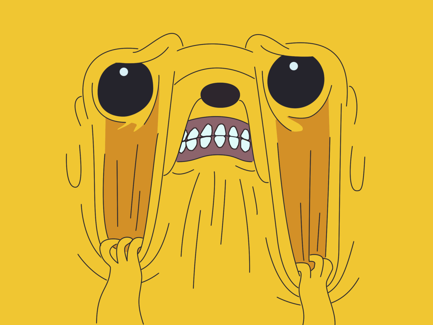 Jake The Dog Wallpapers