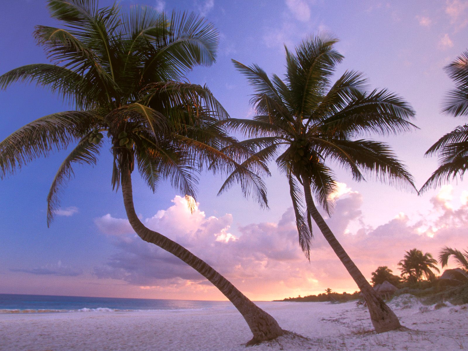 Jamaica Island Wallpapers