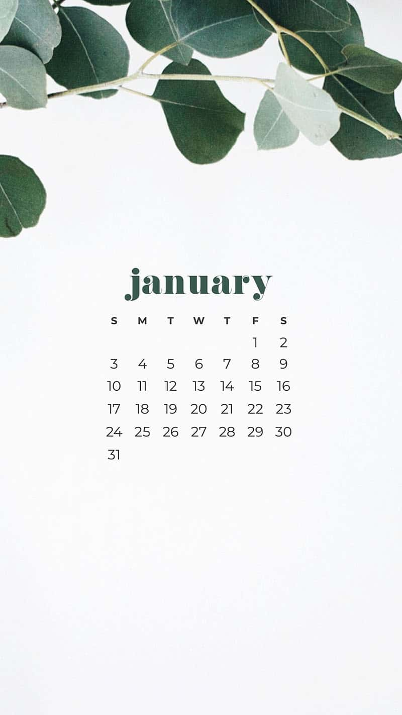 January 2021 Wallpapers