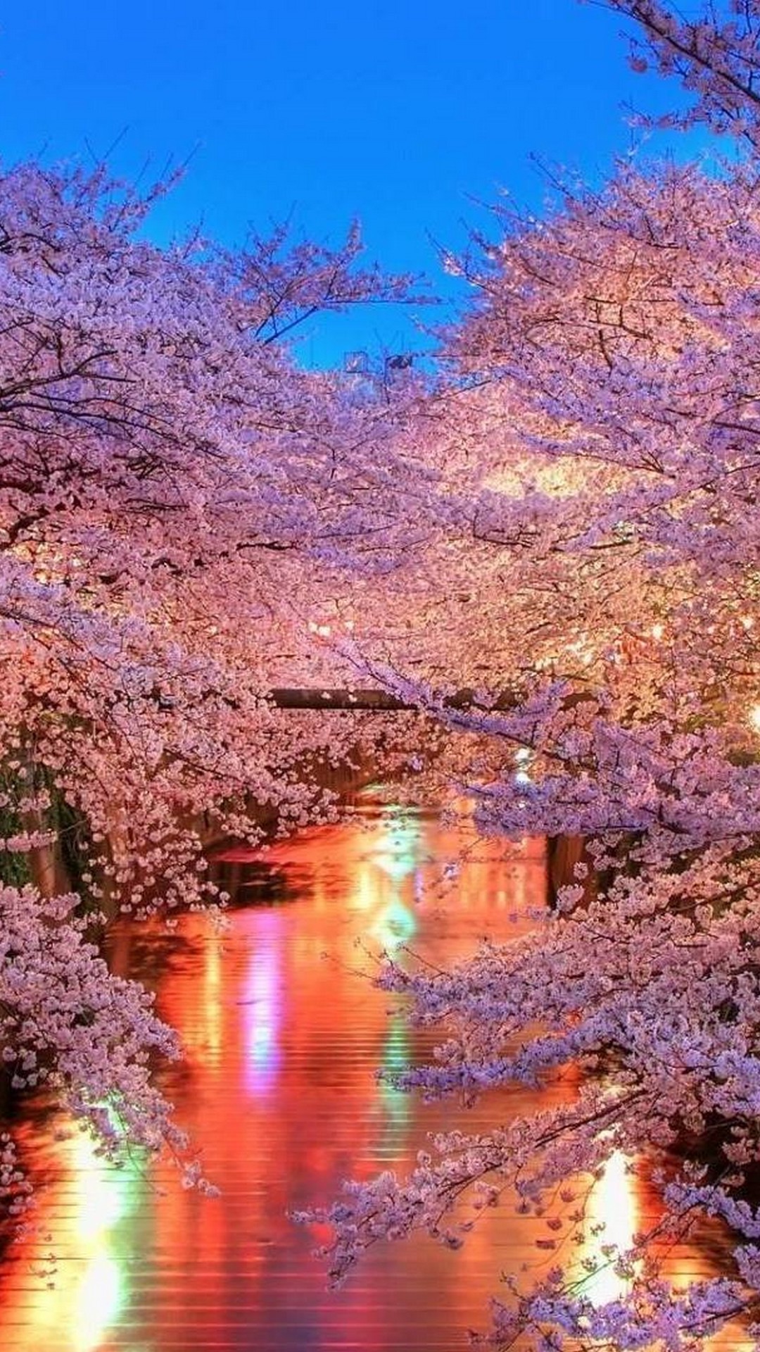 Japan Flowers Images Wallpapers
