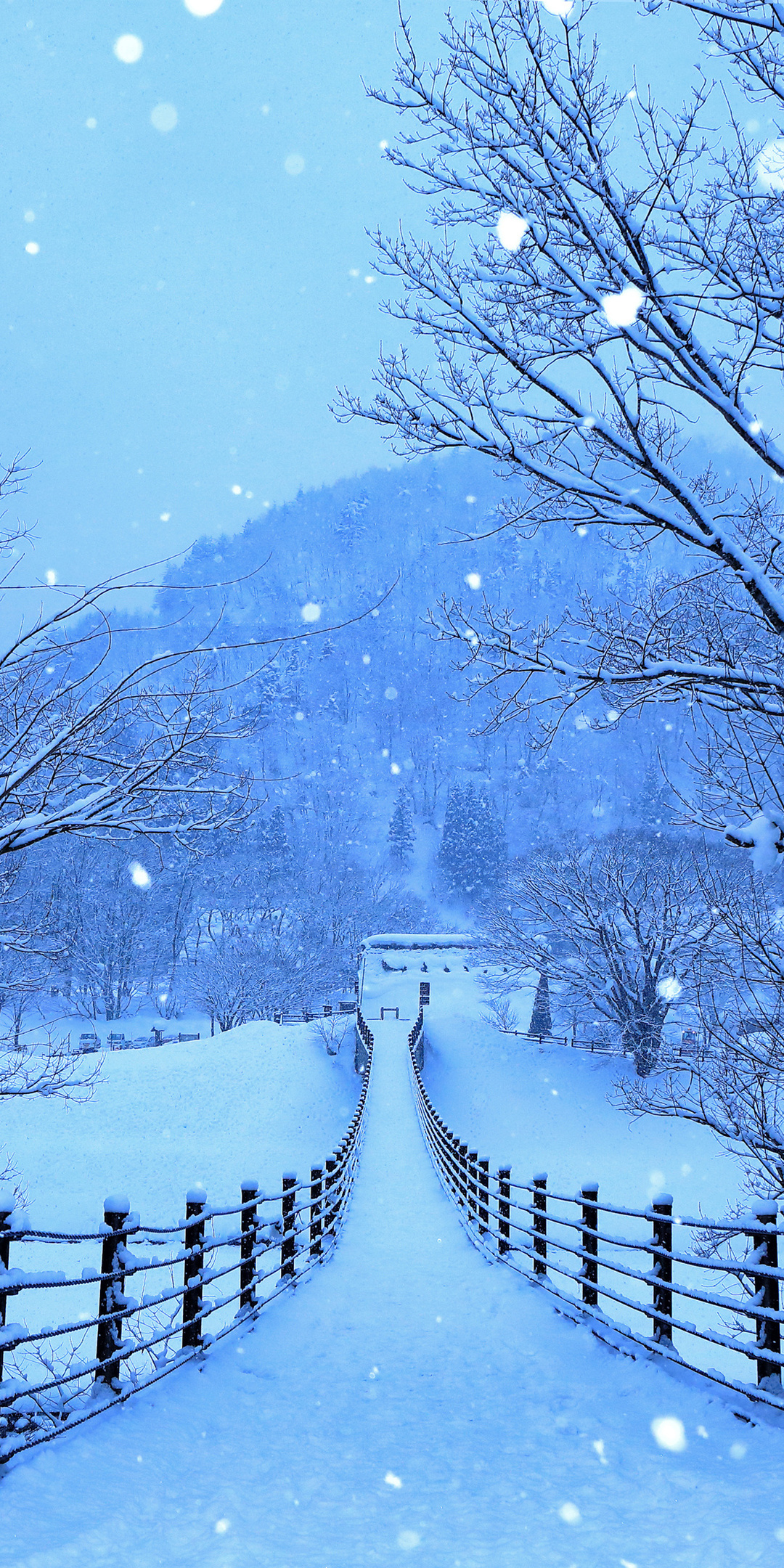 Japan Winter Wallpapers