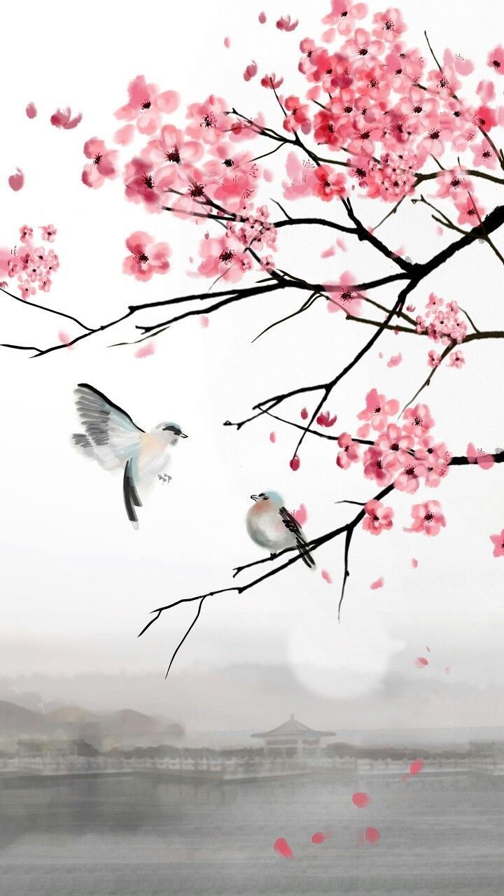 Japanese Cherry Blossom Painting Wallpapers