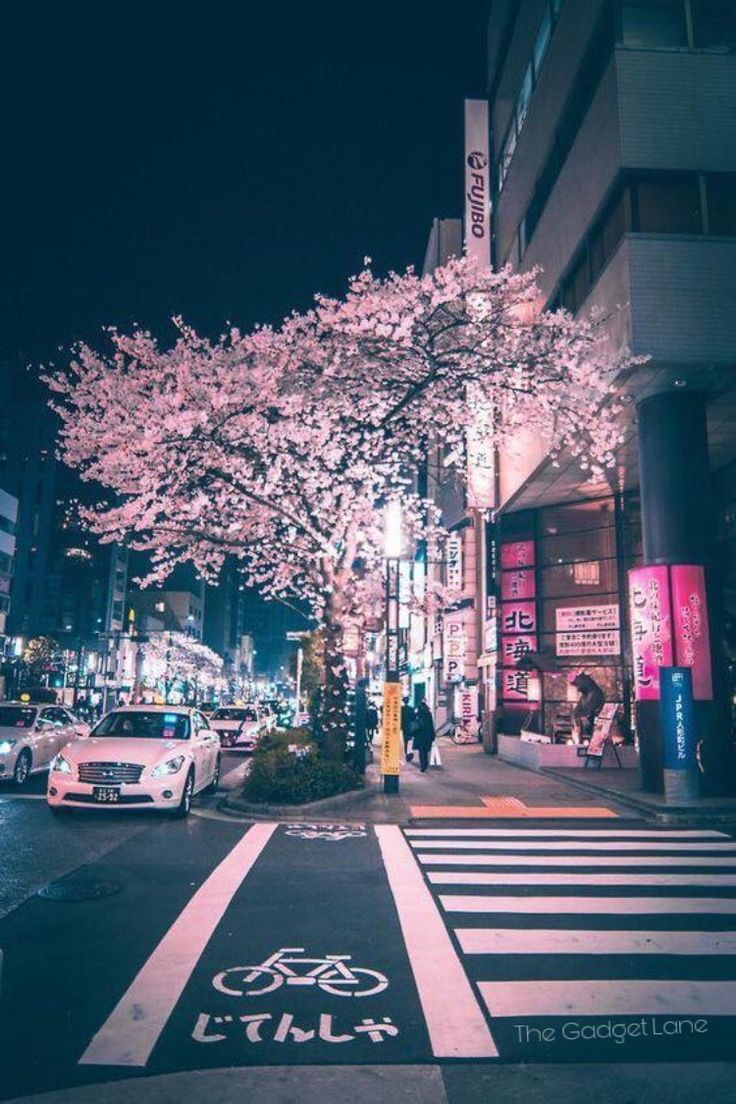 Japanese City Aesthetic Wallpapers