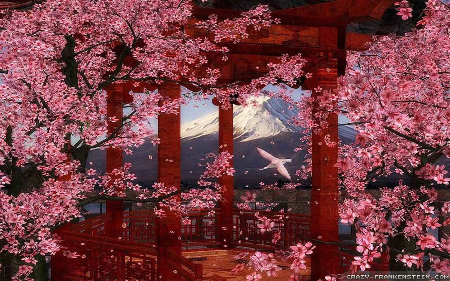 Japanese Flower Wallpapers