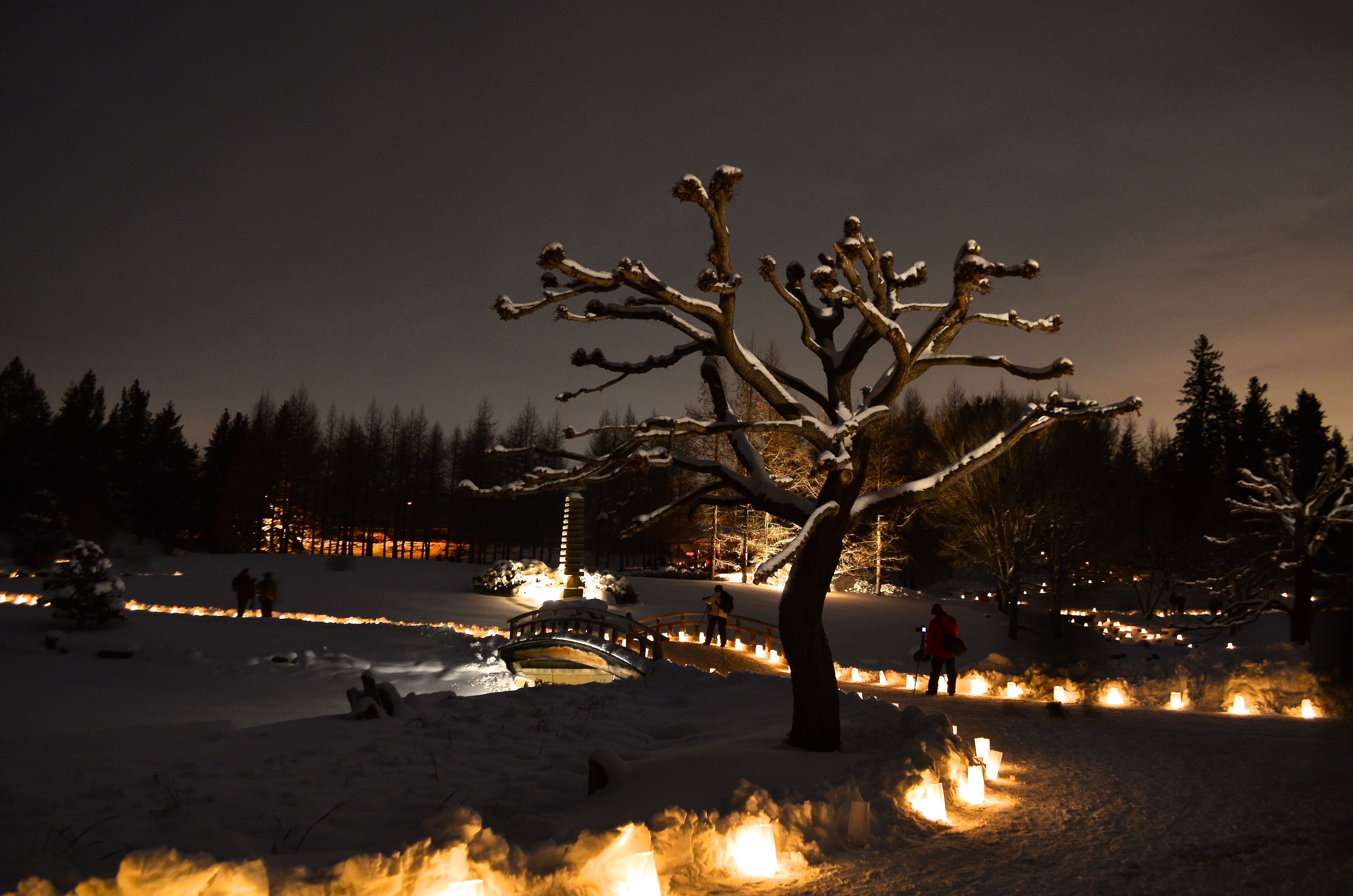 Japanese Garden Winter Wallpapers