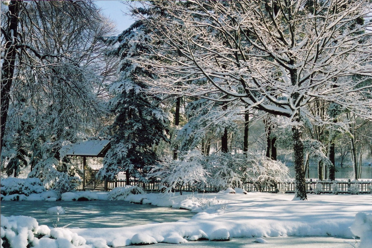 Japanese Garden Winter Wallpapers