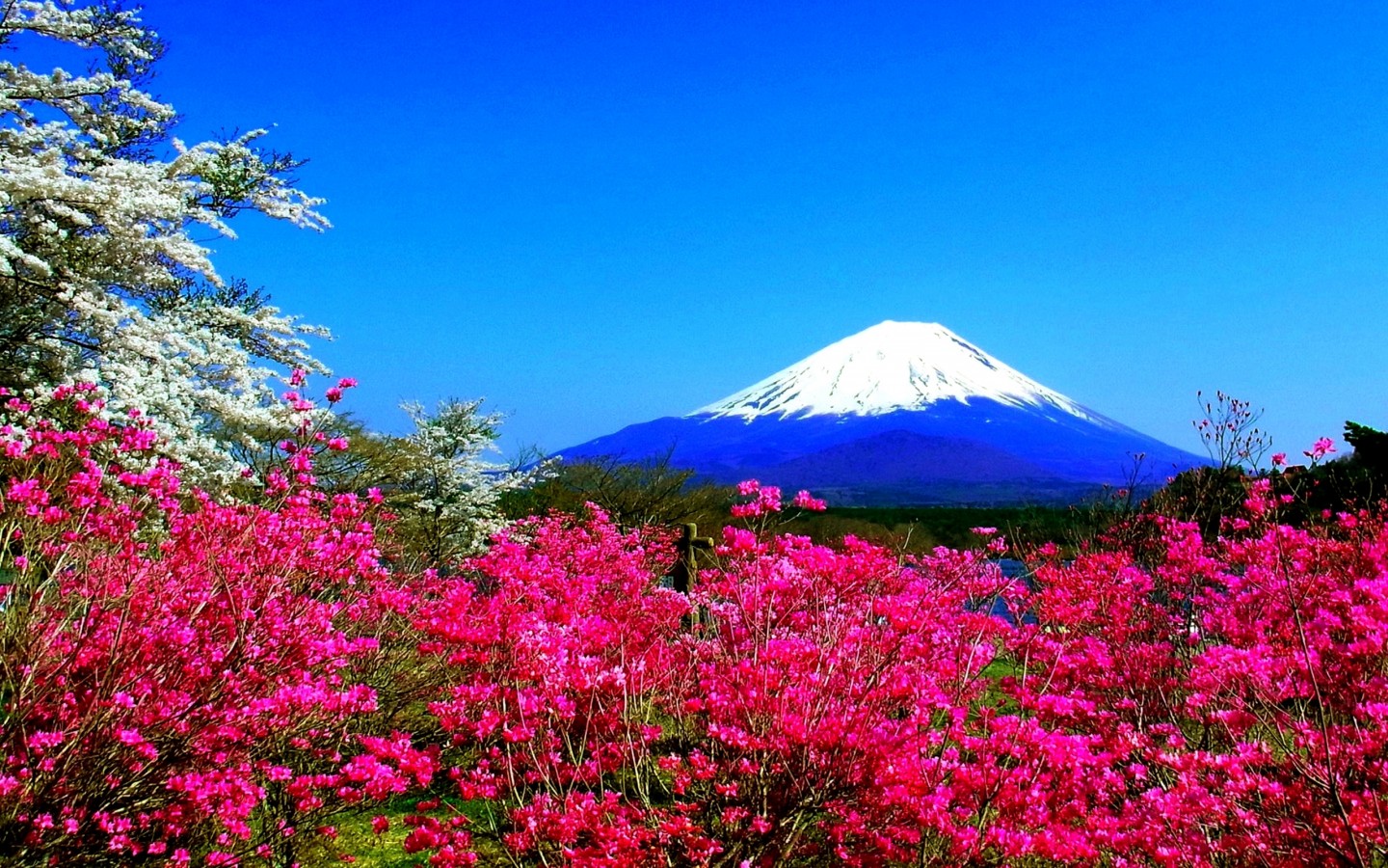 Japanese Mountains Wallpapers