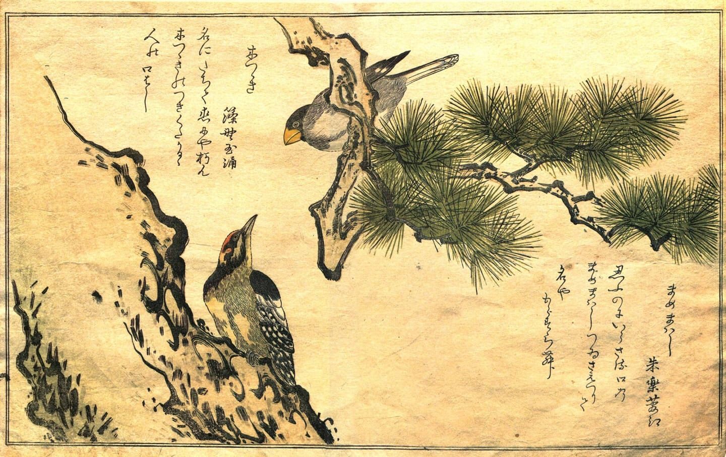 Japanese Samurai Art Wallpapers