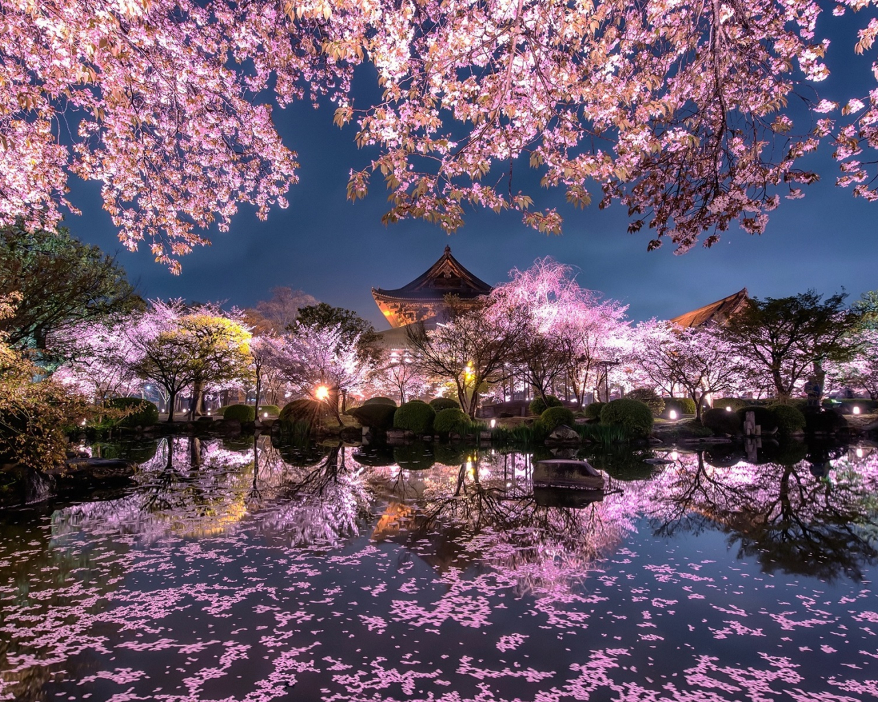 Japanese Tree Wallpapers