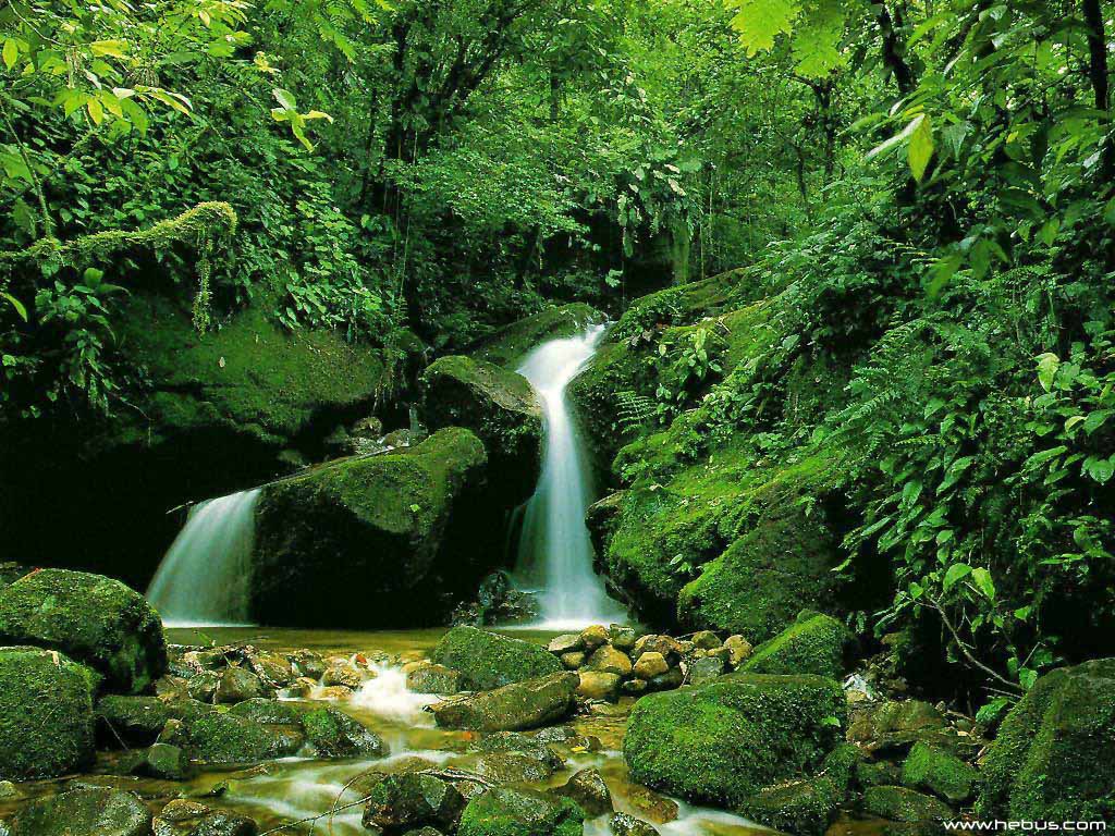 Japanese Waterfall Wallpapers