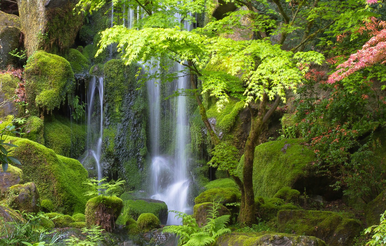 Japanese Waterfall Wallpapers