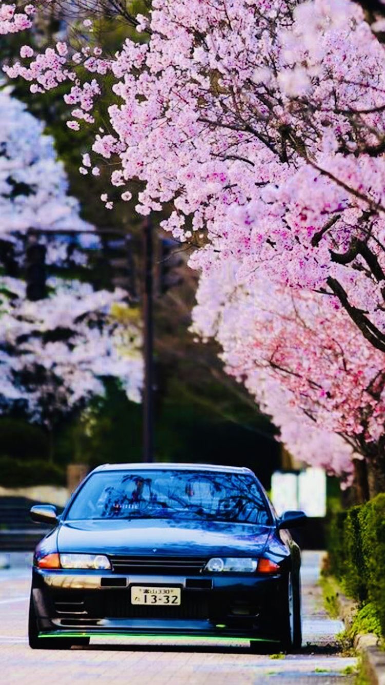 Jdm Cherry Blossom Wallpapers