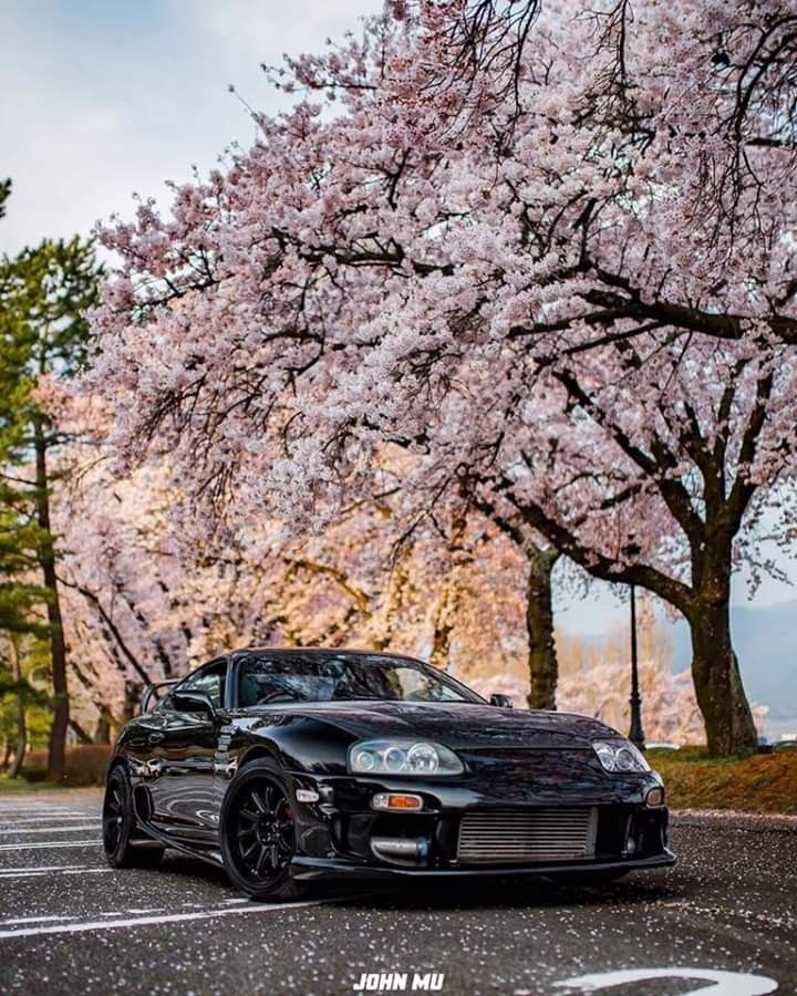 Jdm Cherry Blossom Wallpapers Most Popular Jdm Cherry Blossom Wallpapers Backgrounds Gtwallpaper