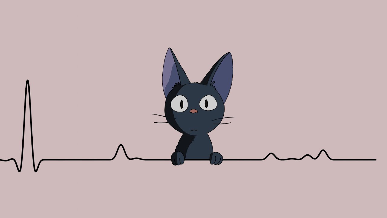 Jiji Cat Wallpapers