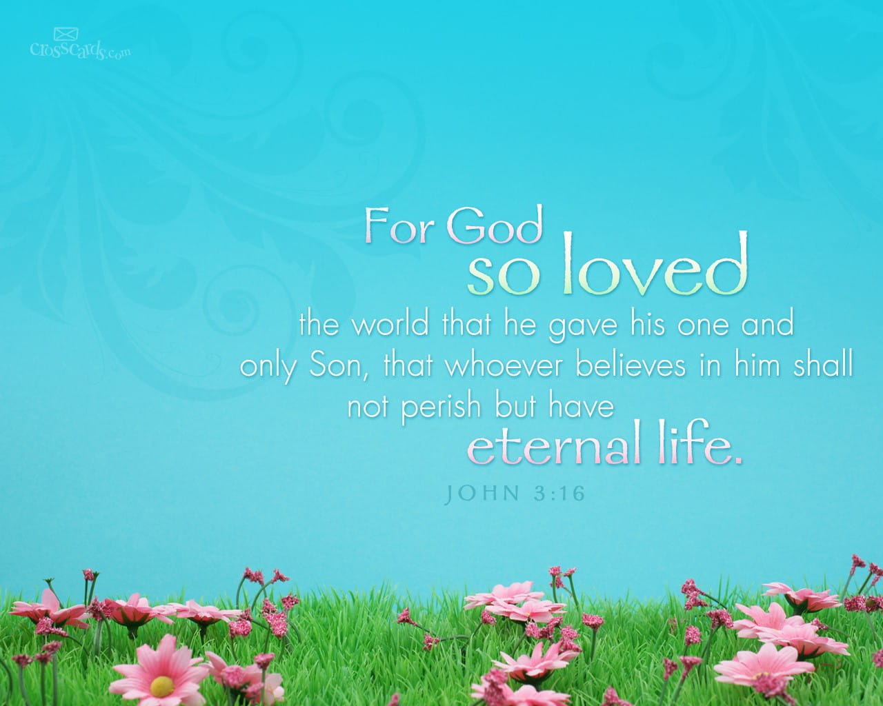 John 3 16 Wallpapers