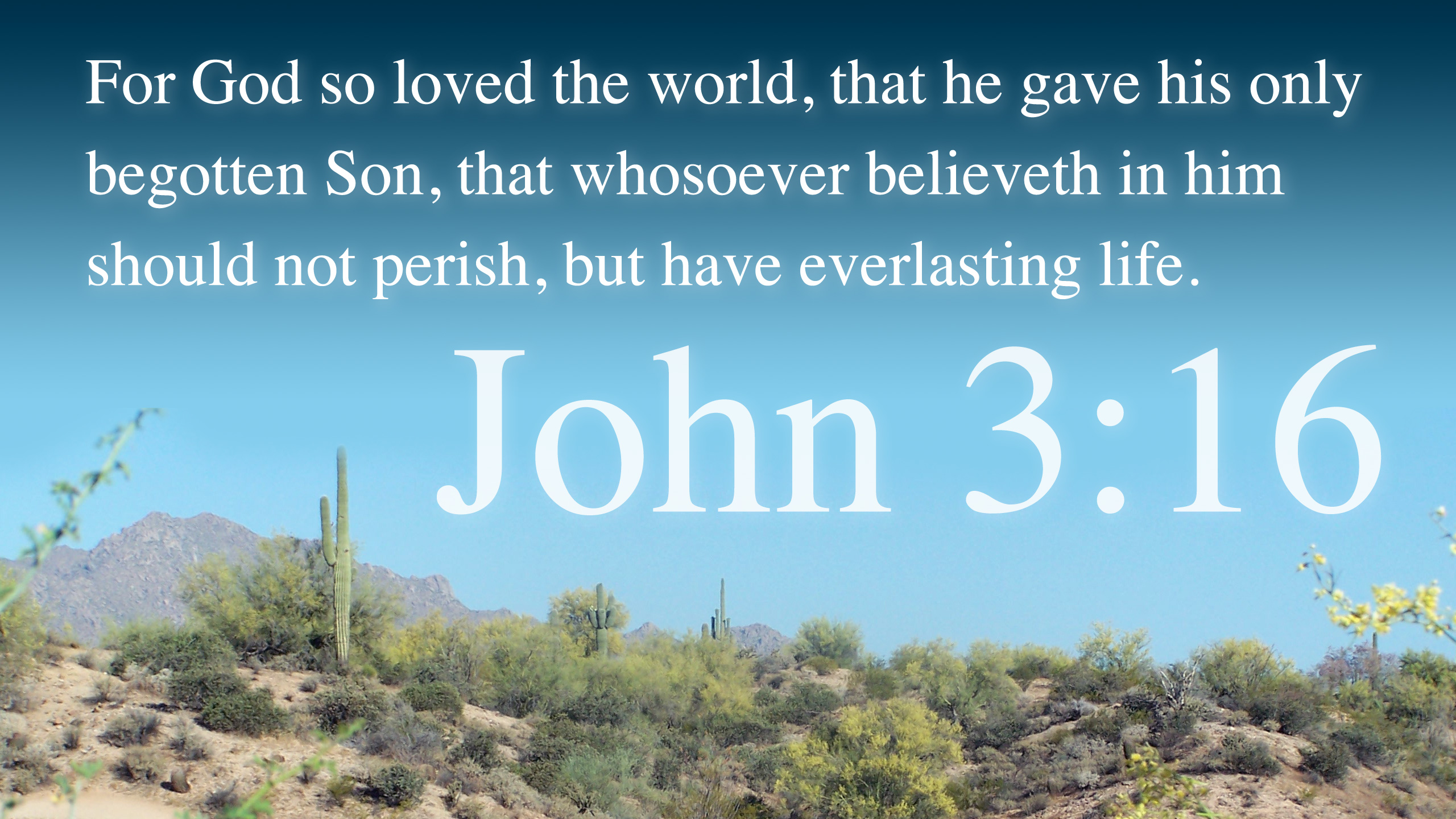 John 3 16 Wallpapers