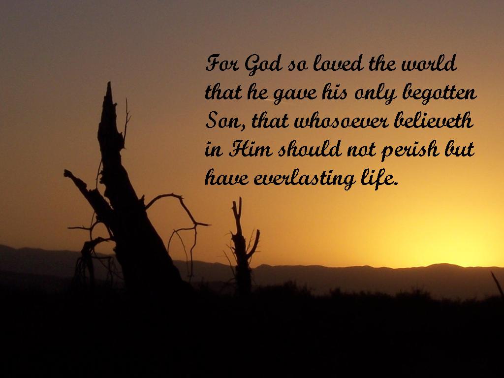 John 3 16 Wallpapers