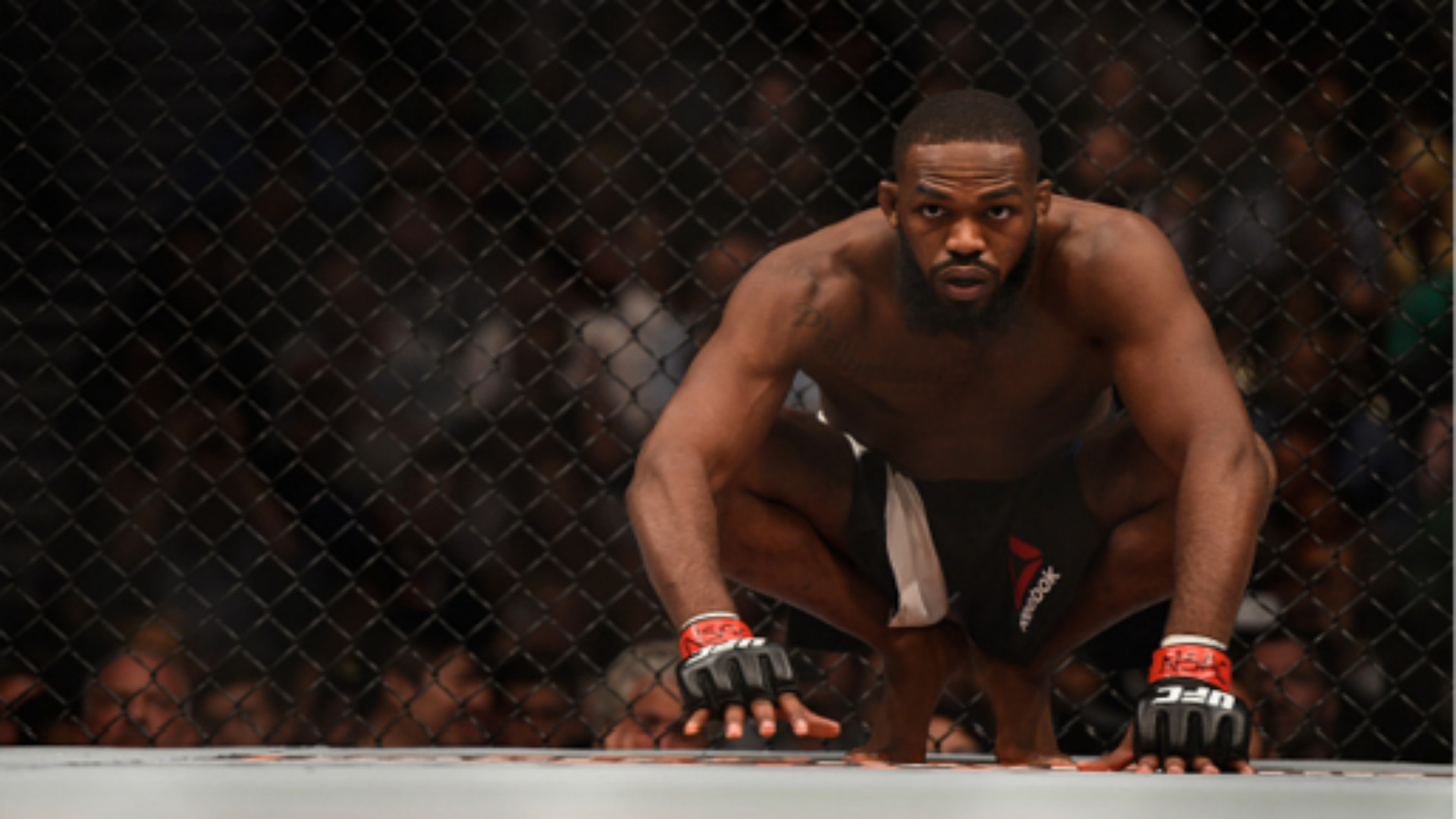 Jon Jones Wallpapers