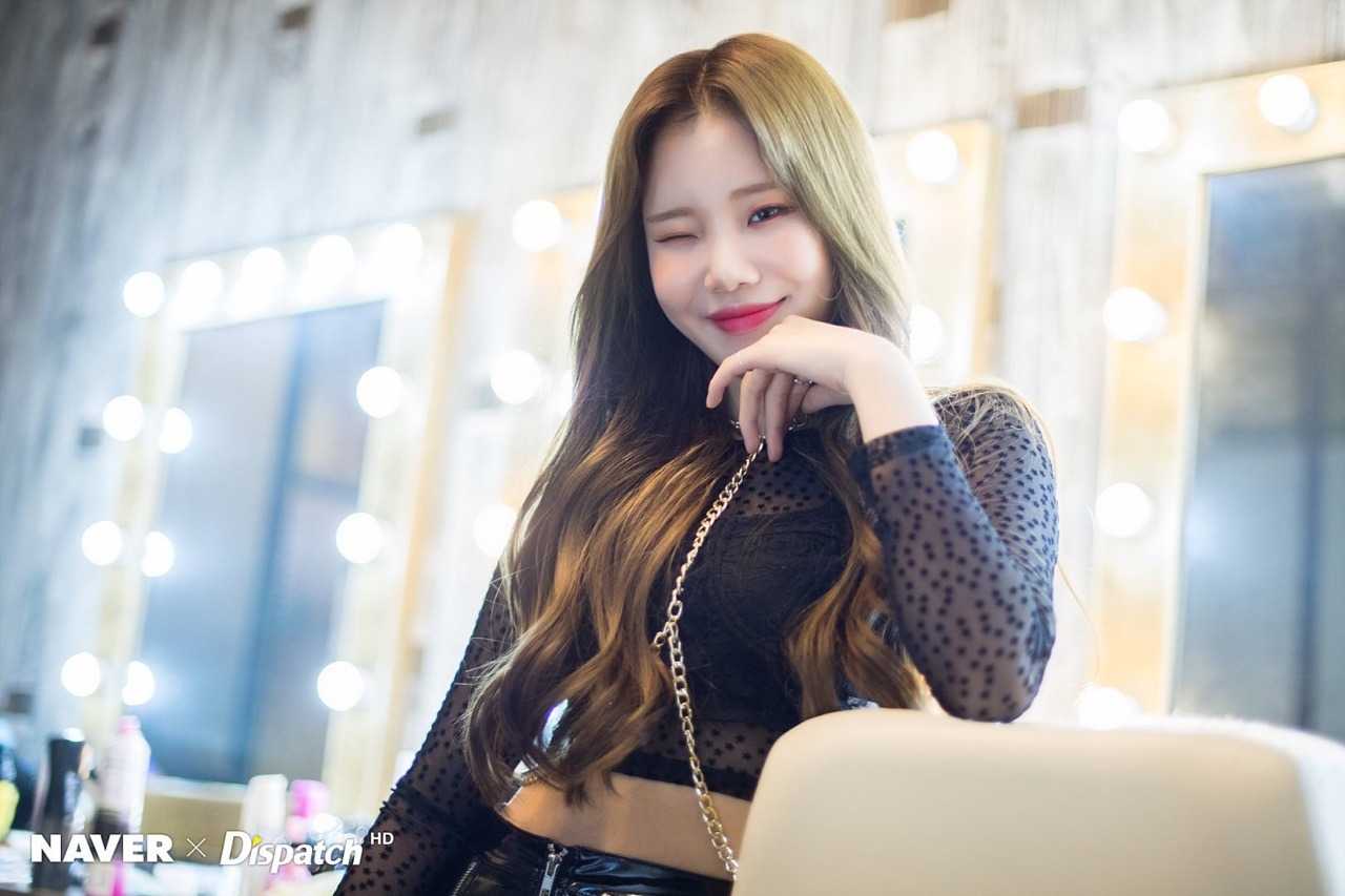 Jooe Momoland Wallpapers