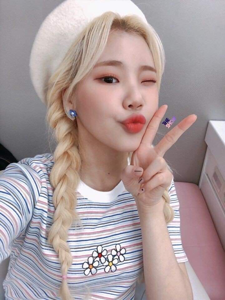 Jooe Momoland Wallpapers