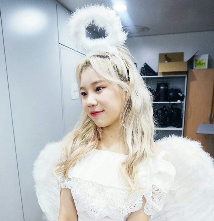 Jooe Momoland Wallpapers