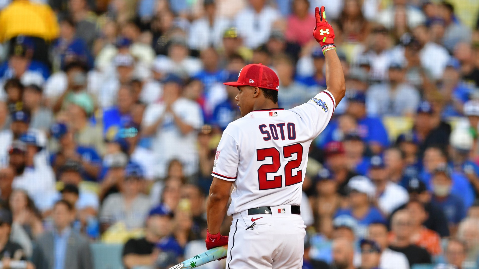 Juan Soto Wallpapers