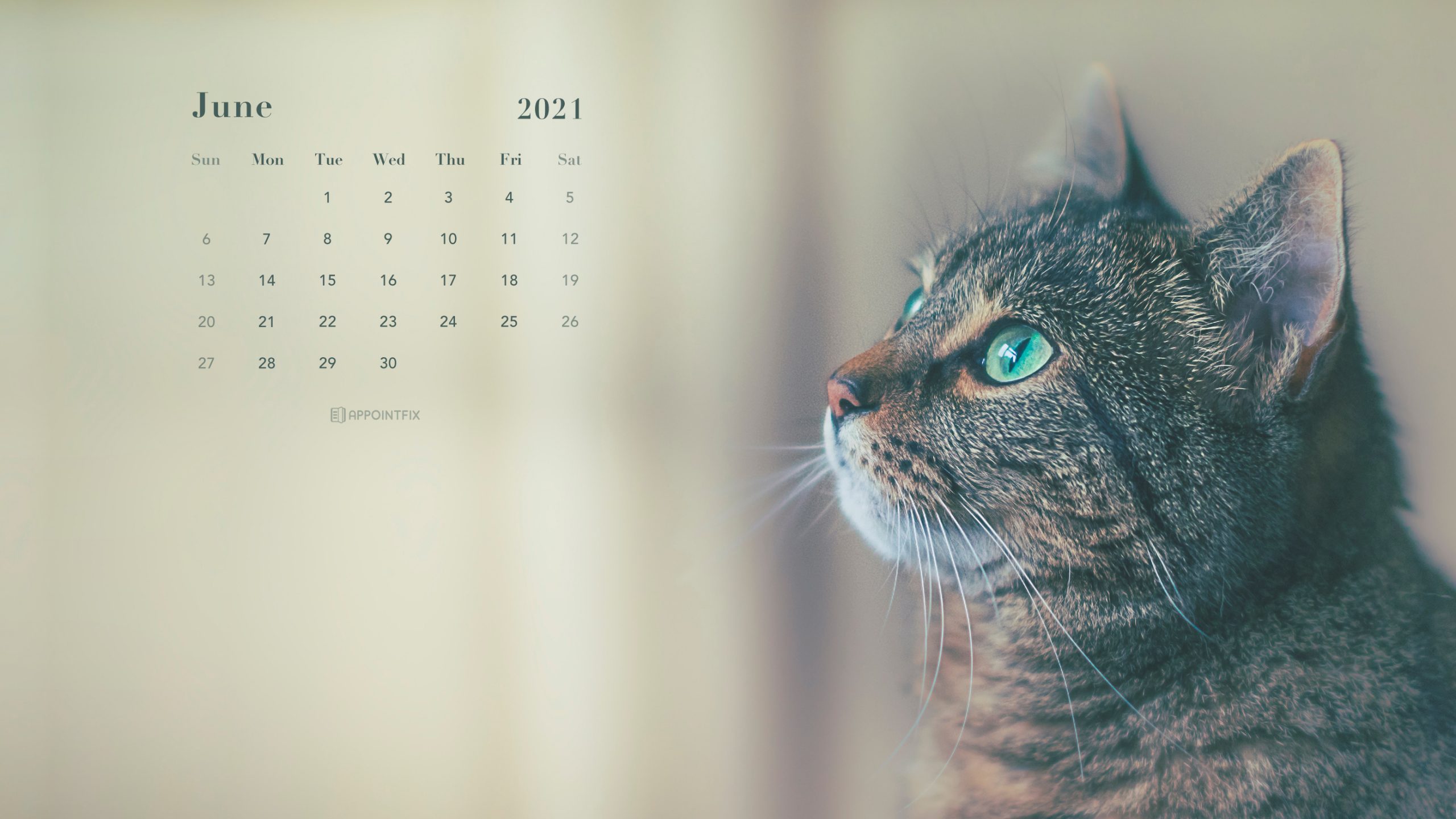 June 2021 Calendar Wallpapers