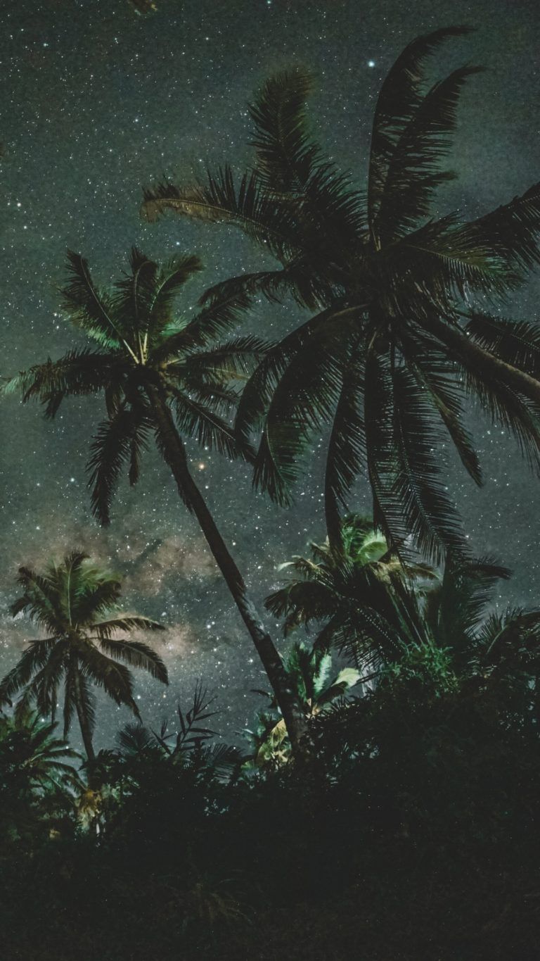 Jungle Sky Wallpapers