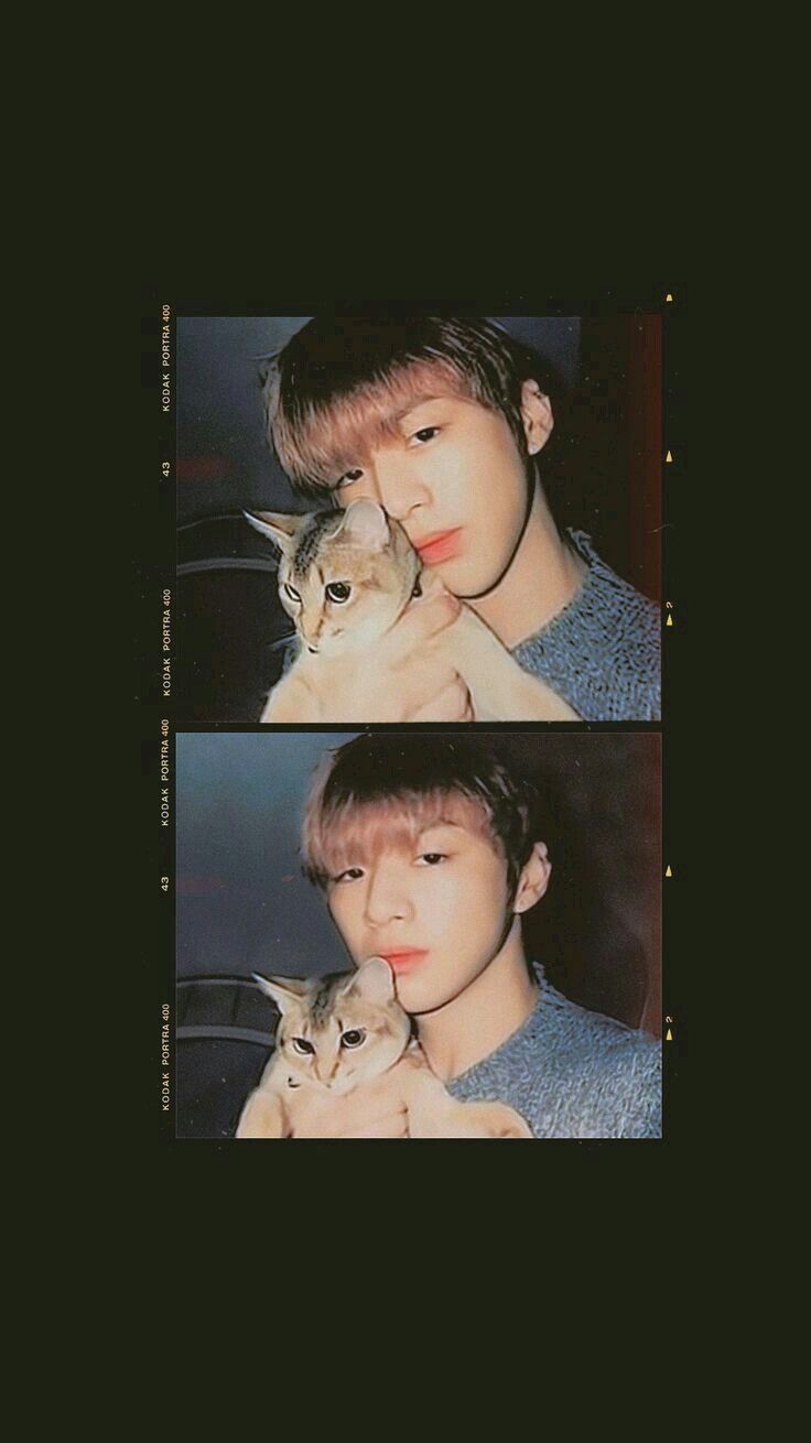 Kang Daniel Aesthetic Wallpapers