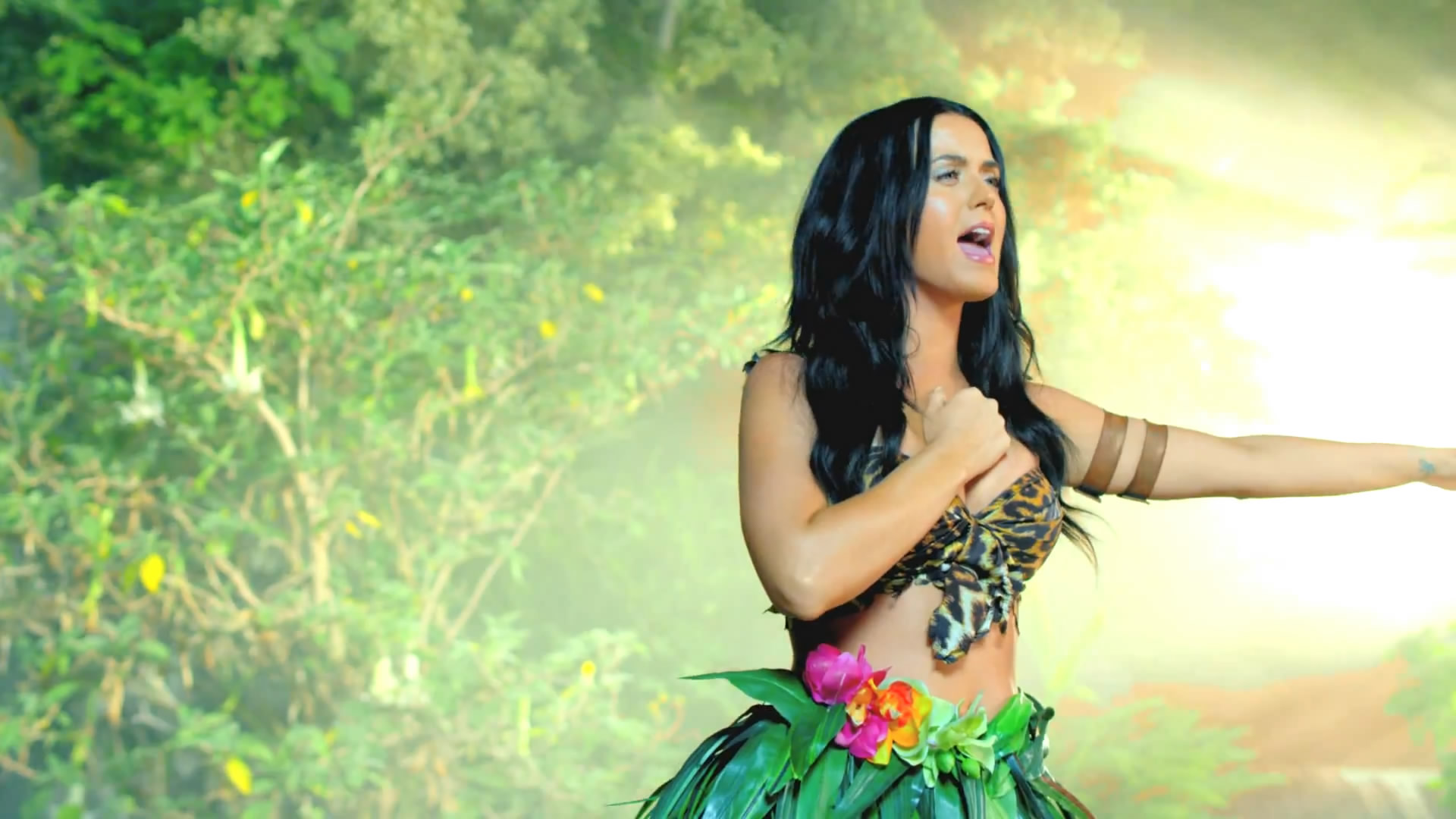 Katy Perry Roar Wallpapers