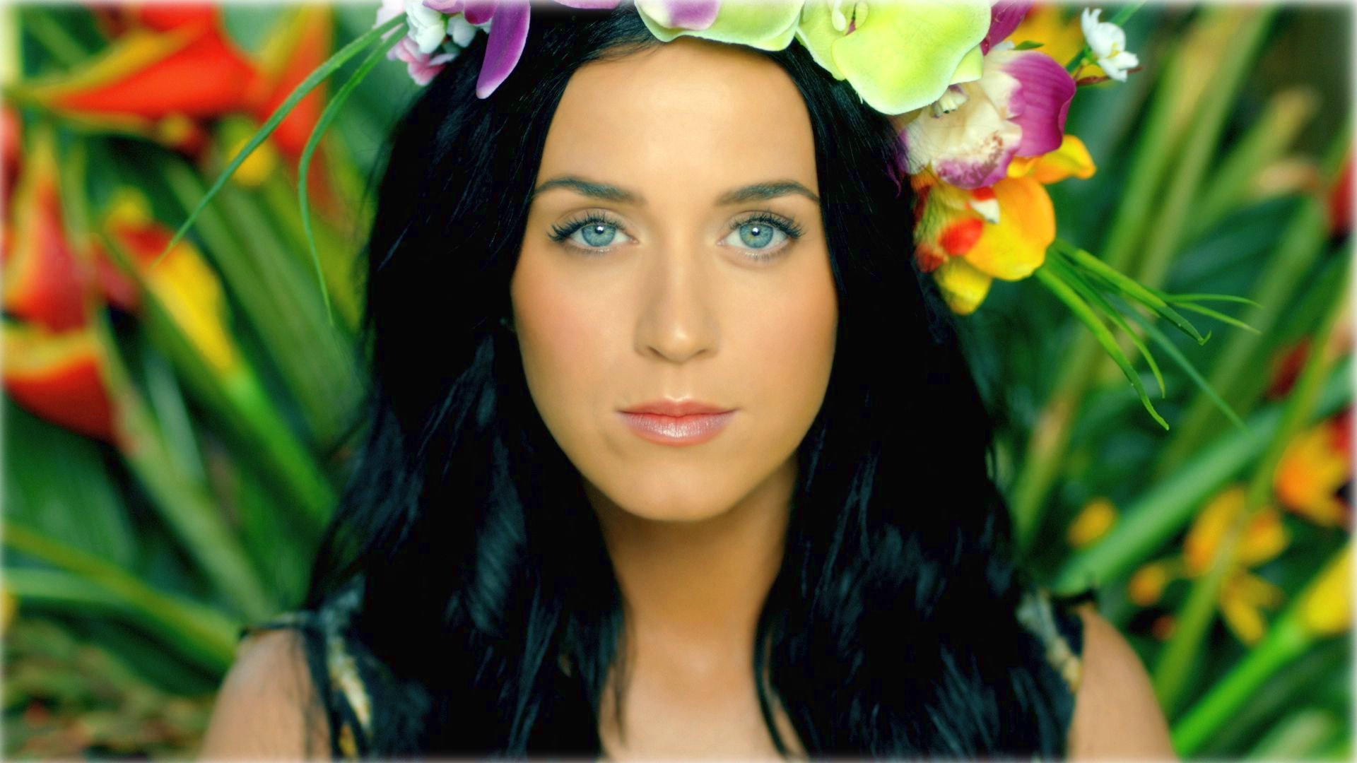 Katy Perry Roar Wallpapers