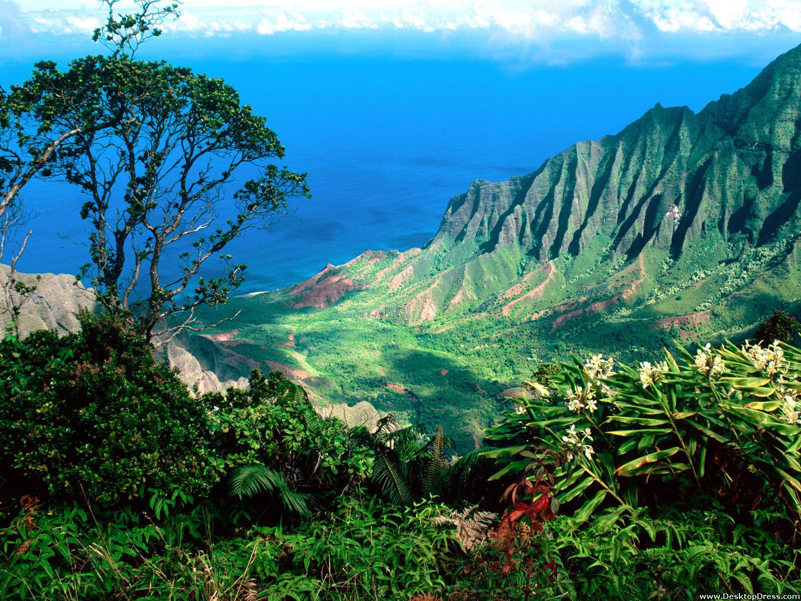 Kauai Wallpapers