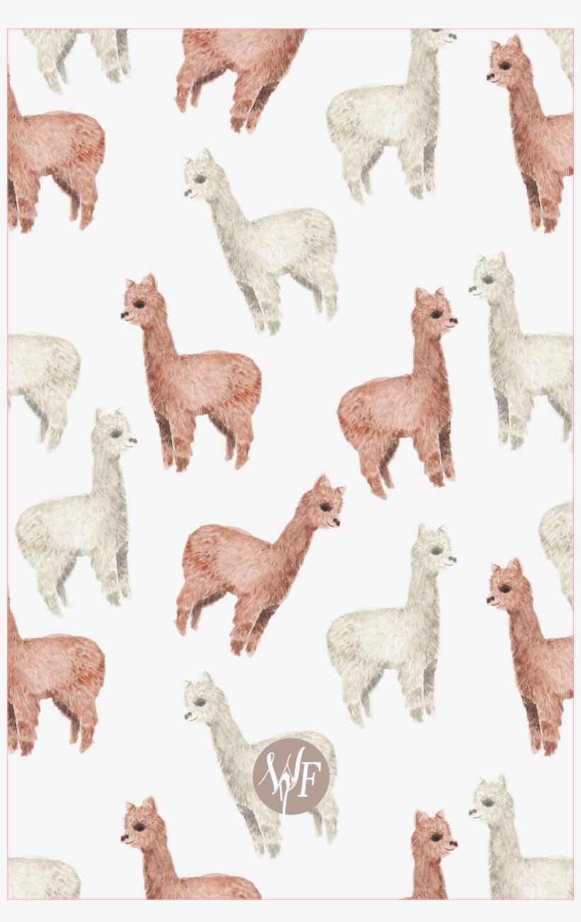 Kawaii Alpaca Wallpapers